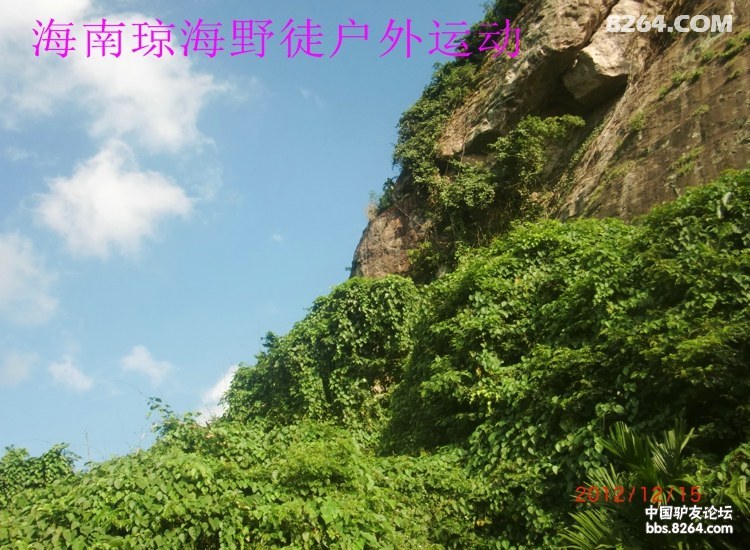 CIMG5723.jpg