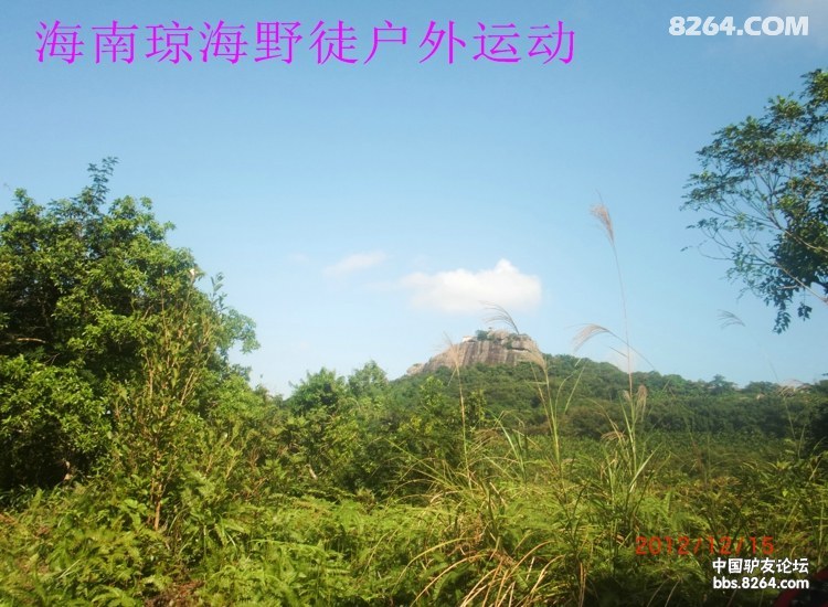 CIMG5727.jpg