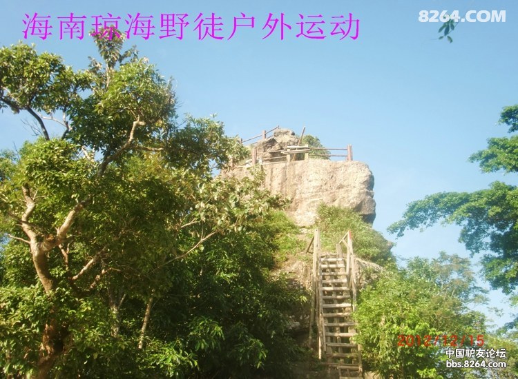 CIMG5729.jpg