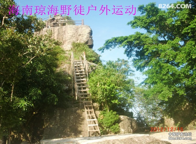 CIMG5730.jpg