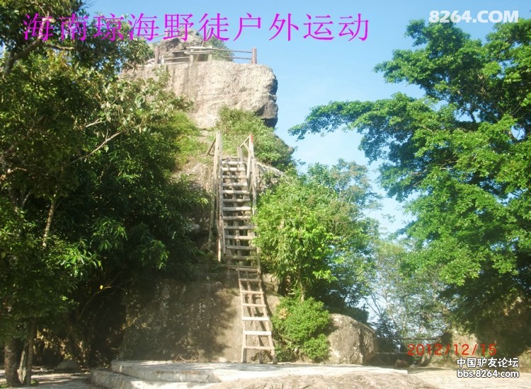 CIMG5732.jpg