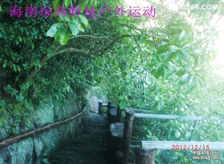 CIMG5736.jpg