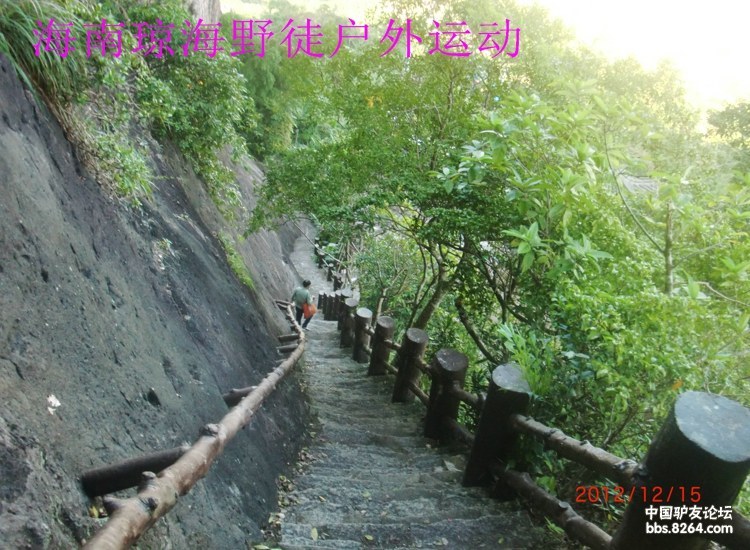 CIMG5738.jpg