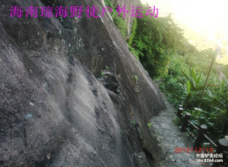 CIMG5746.jpg