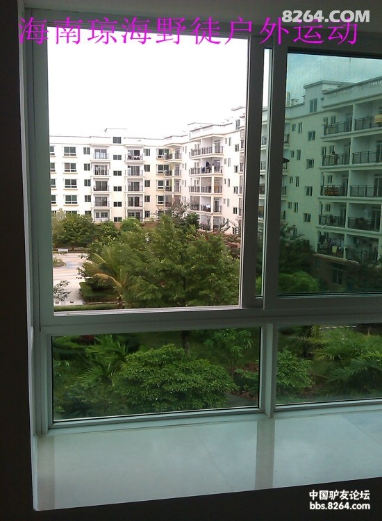 IMAG0354.jpg