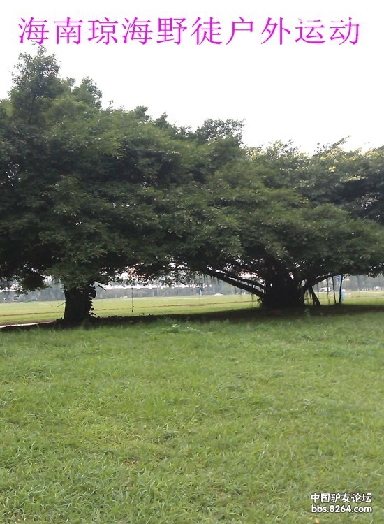 IMAG0373.jpg