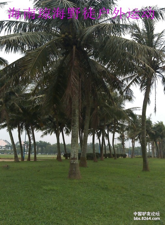 IMAG0375.jpg