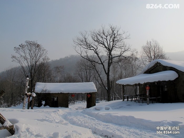 1301031234af784317849a9d0b.jpg