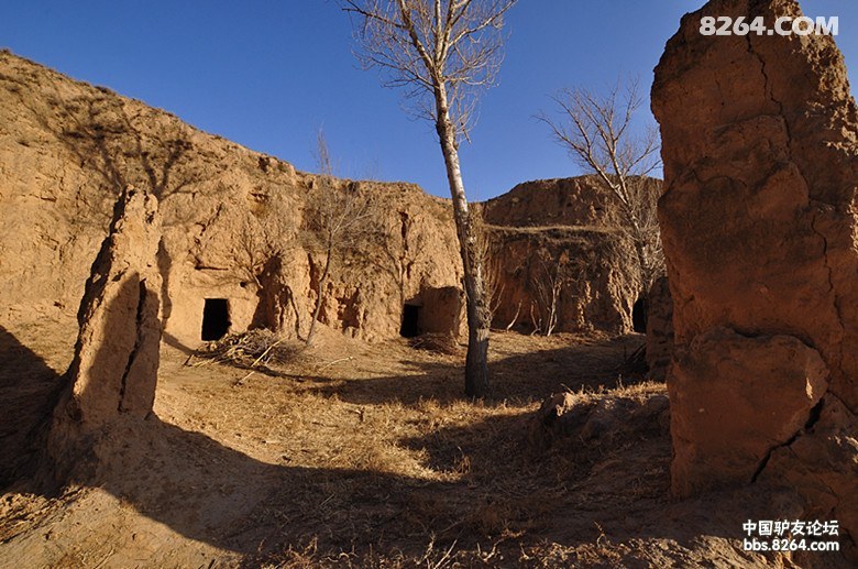 春节期间靖边闫家寨的土匪窝2