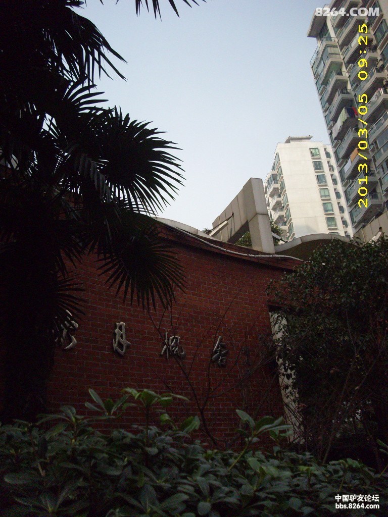 DSCI0118.JPG