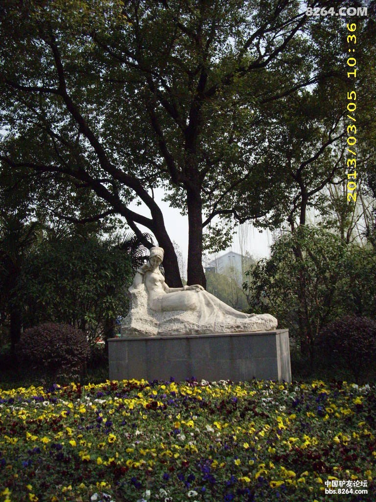 DSCI0135.JPG