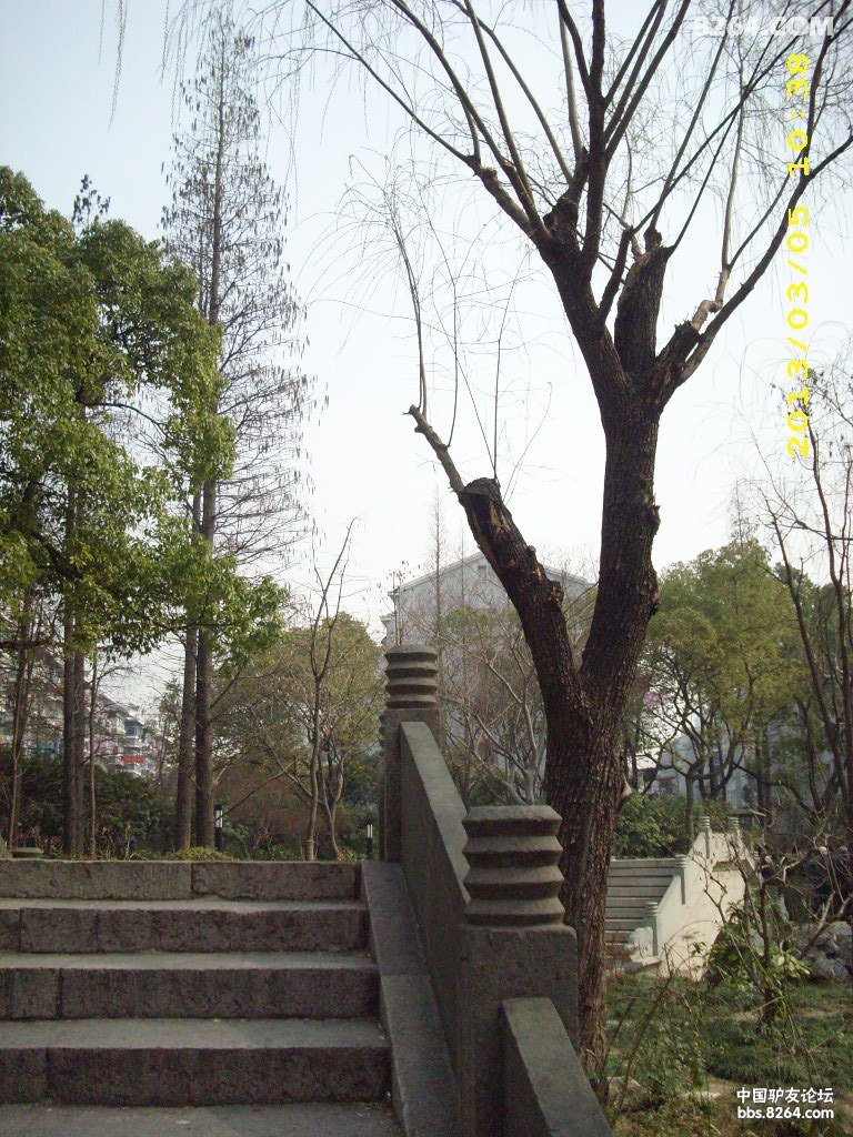 DSCI0136.JPG
