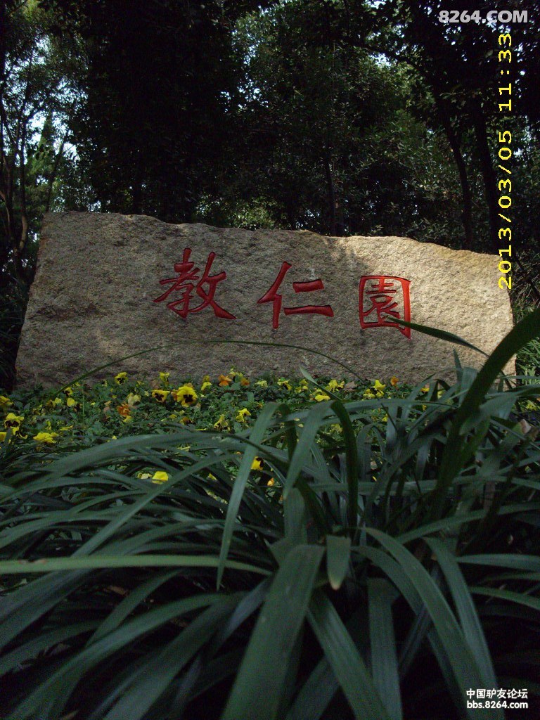 DSCI0140.JPG