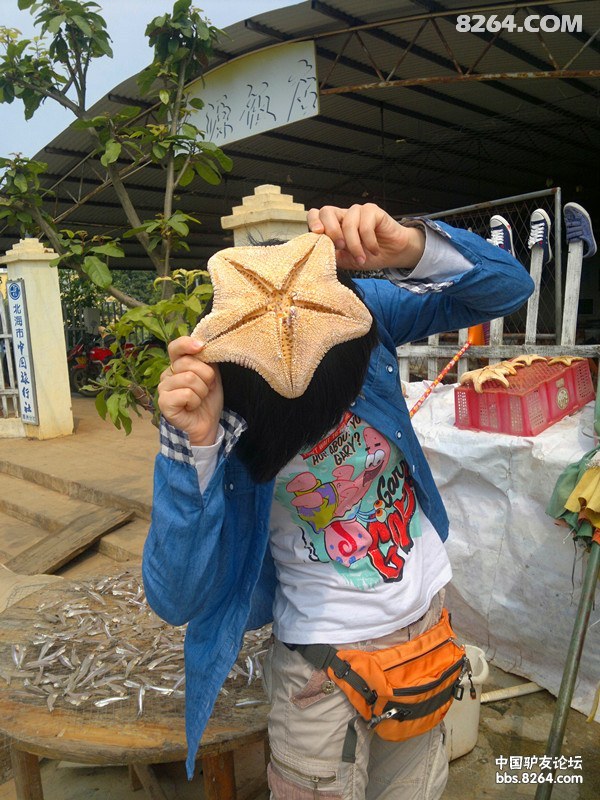 20130308570.jpg