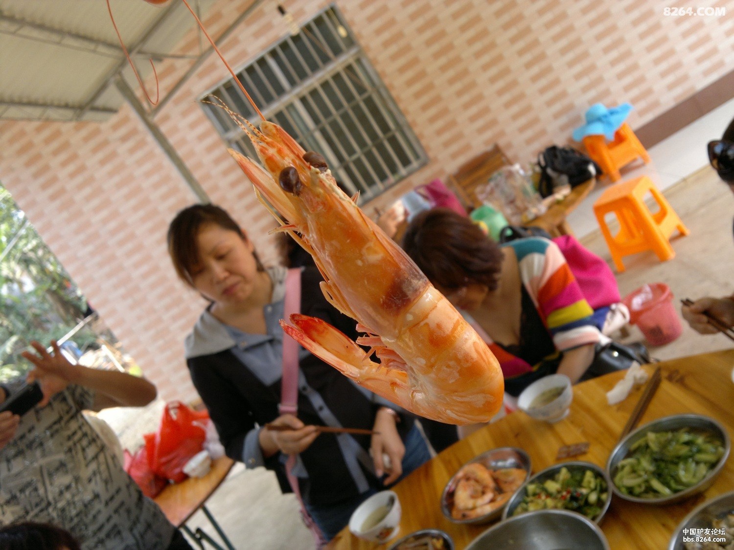 20130308582.jpg