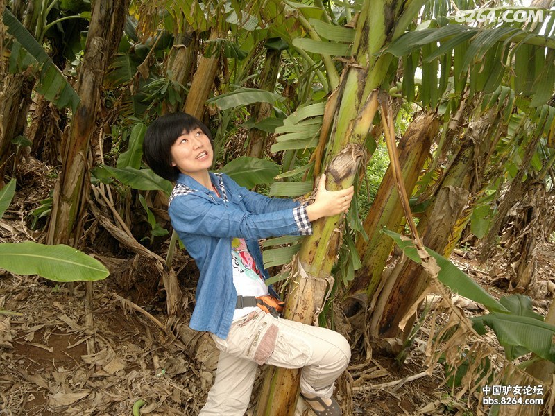 20130308547.jpg