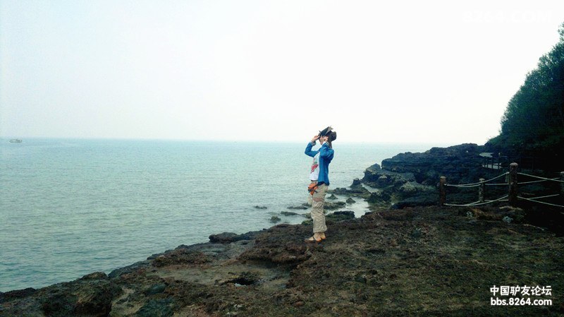 20130308645.jpg
