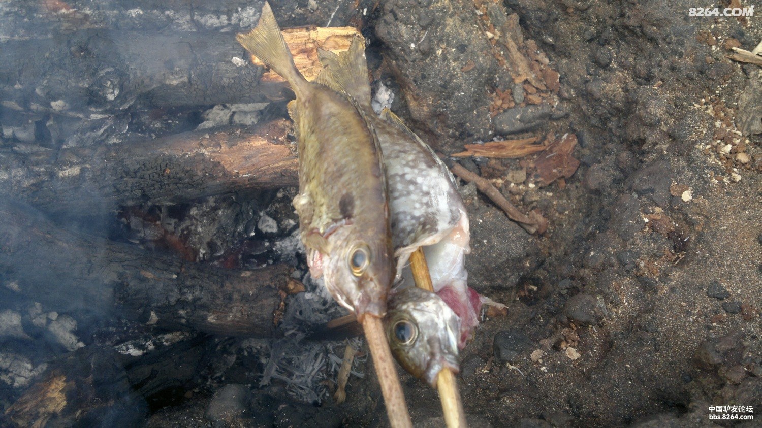 20130308655.jpg