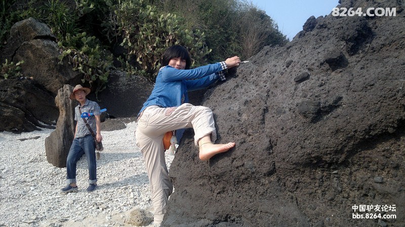 20130308662.jpg
