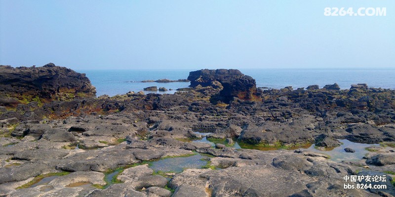 20130308664.jpg