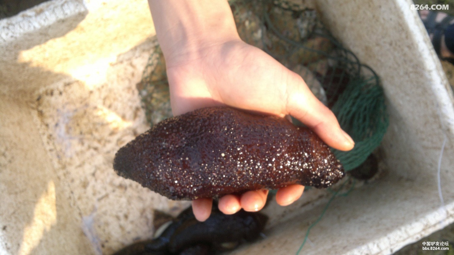 20130308667.jpg