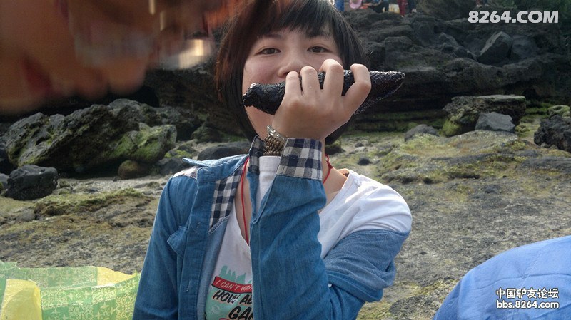 20130308668.jpg
