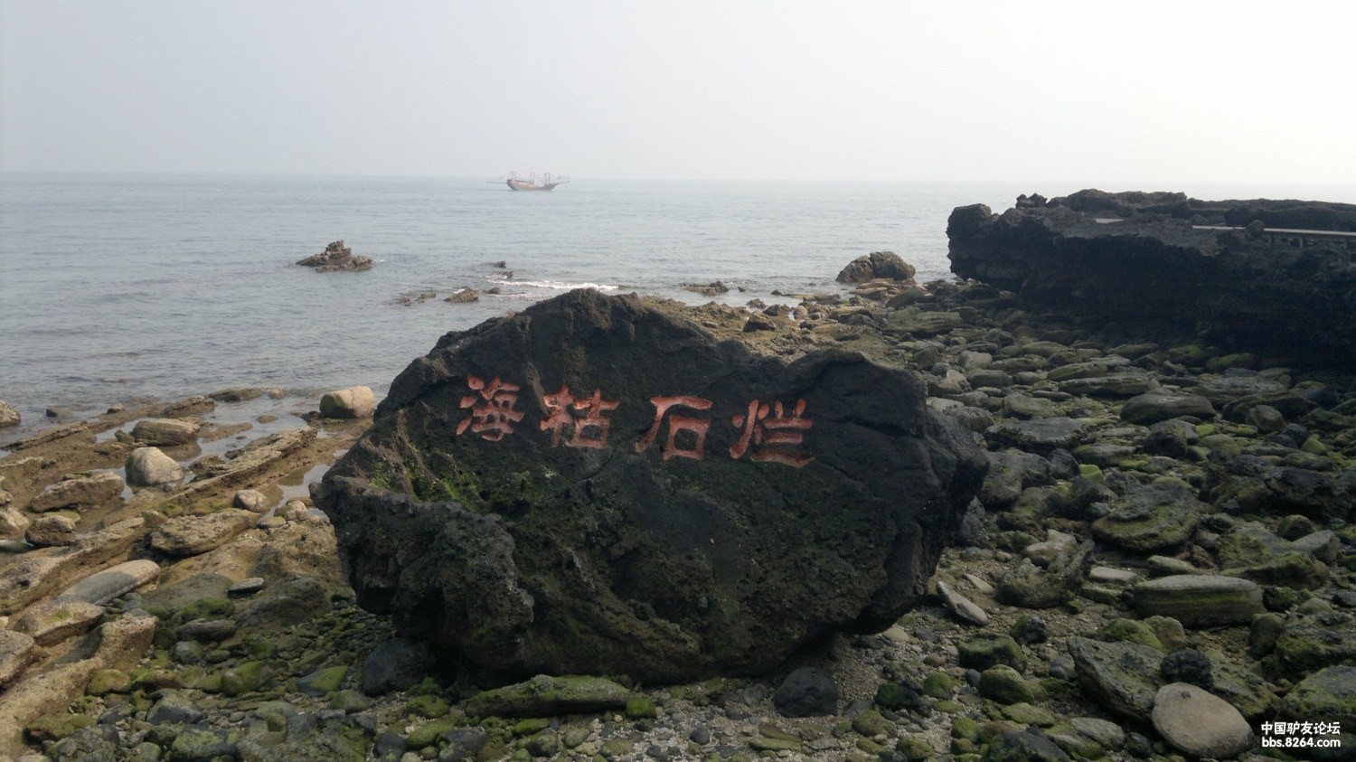 20130308669.jpg