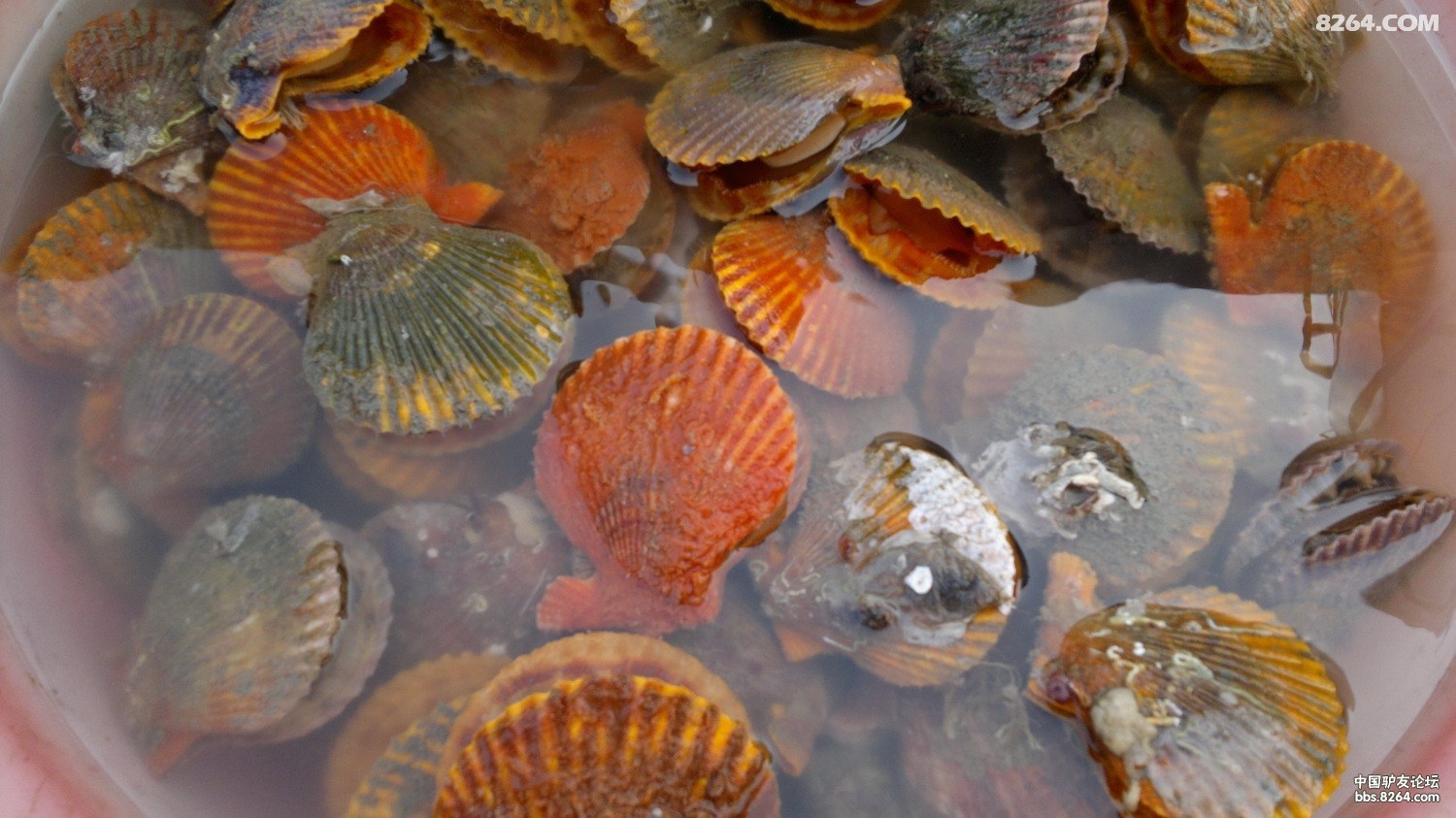 20130308712.jpg