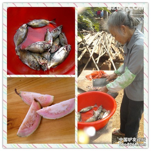 20130308574.jpg