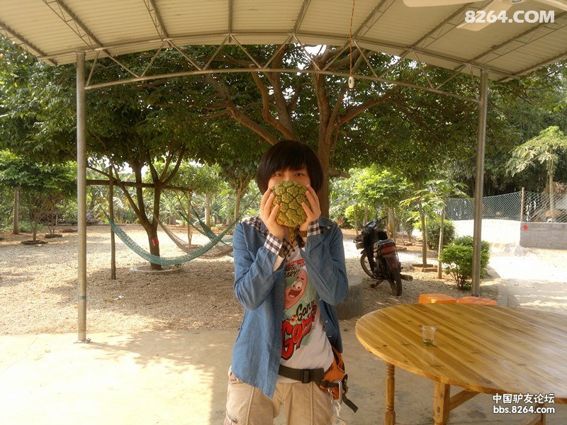 20130308590.jpg