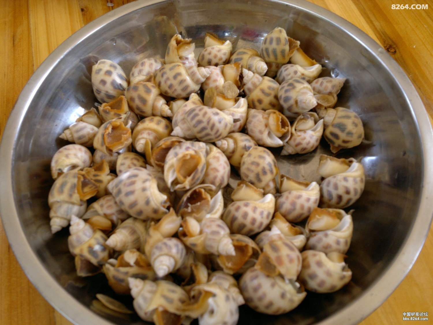 20130308583.jpg