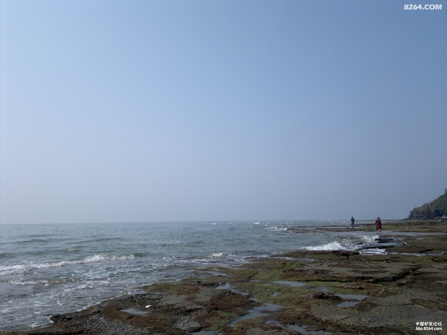 20130309759.jpg