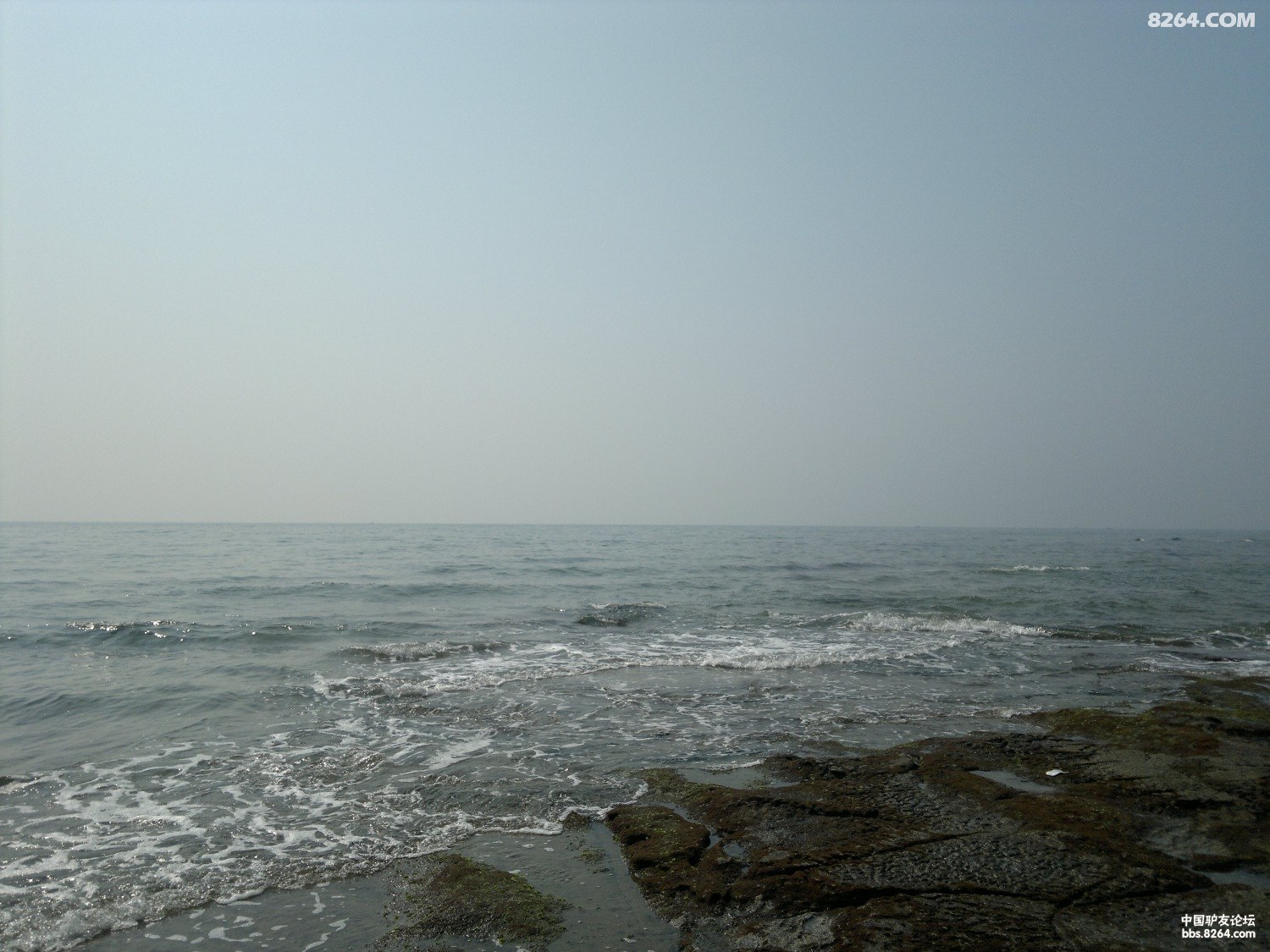 20130309760.jpg