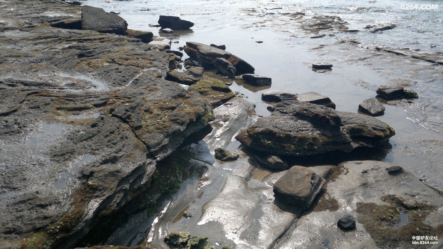 20130309762.jpg
