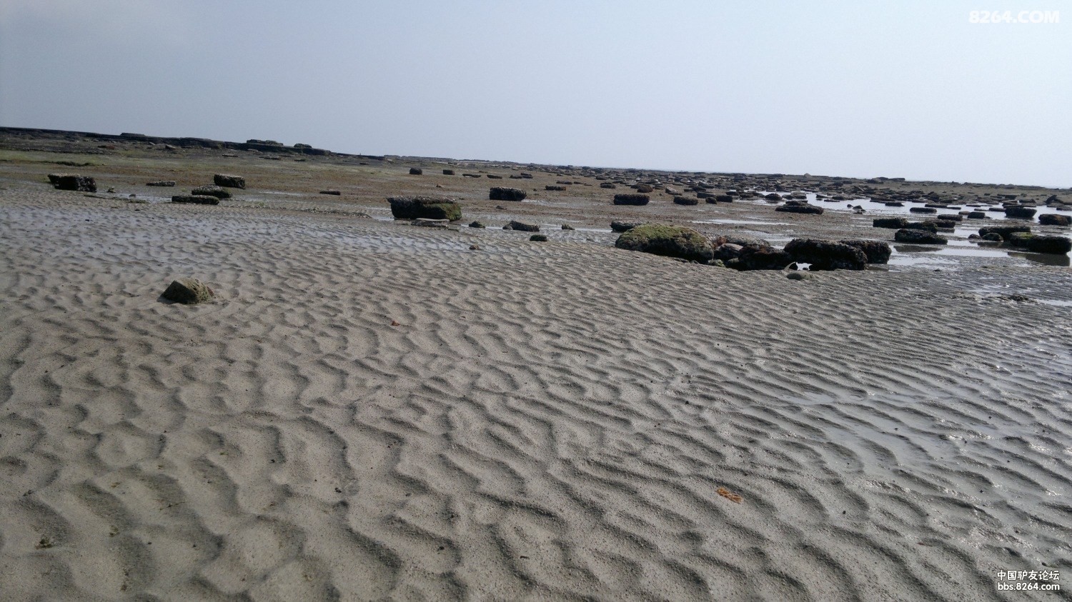 20130309776.jpg