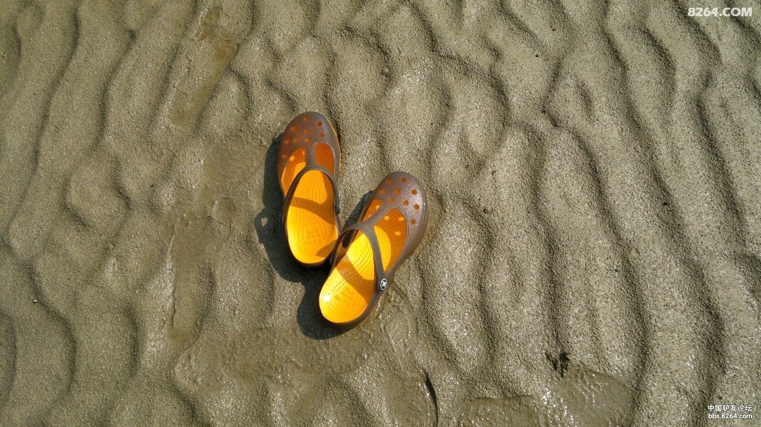 20130309777.jpg