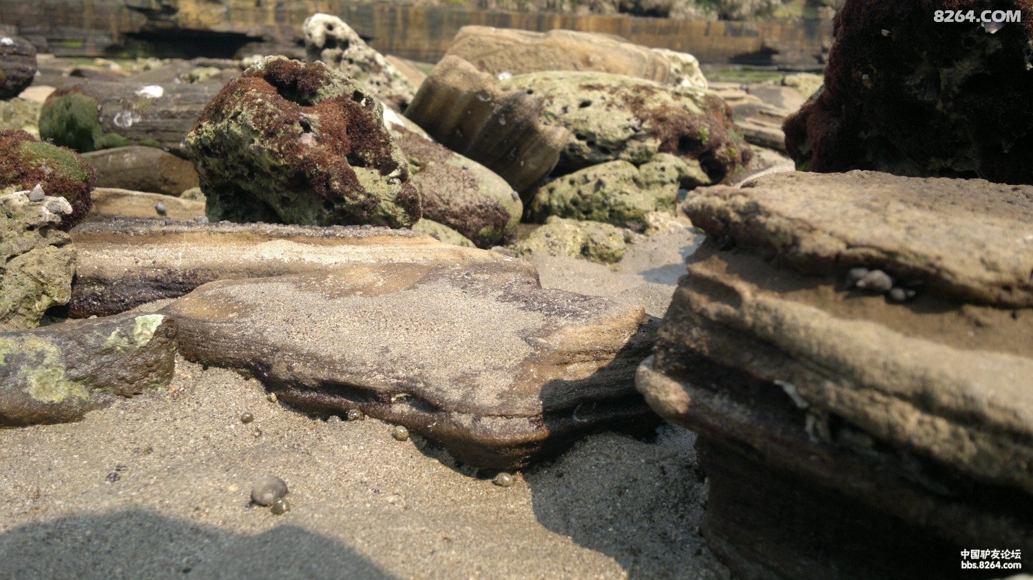 20130309779.jpg