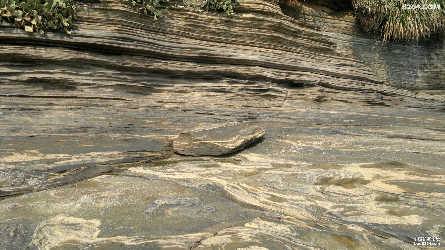 20130309787.jpg
