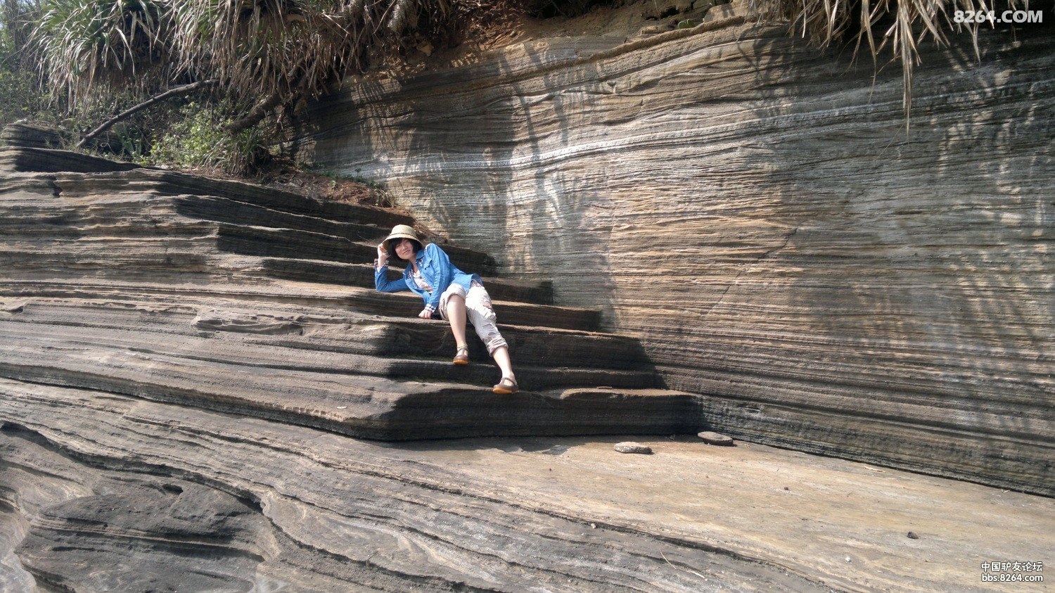20130309792.jpg