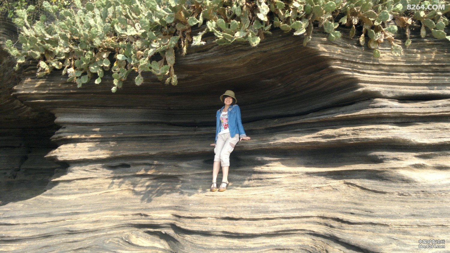 20130309795.jpg