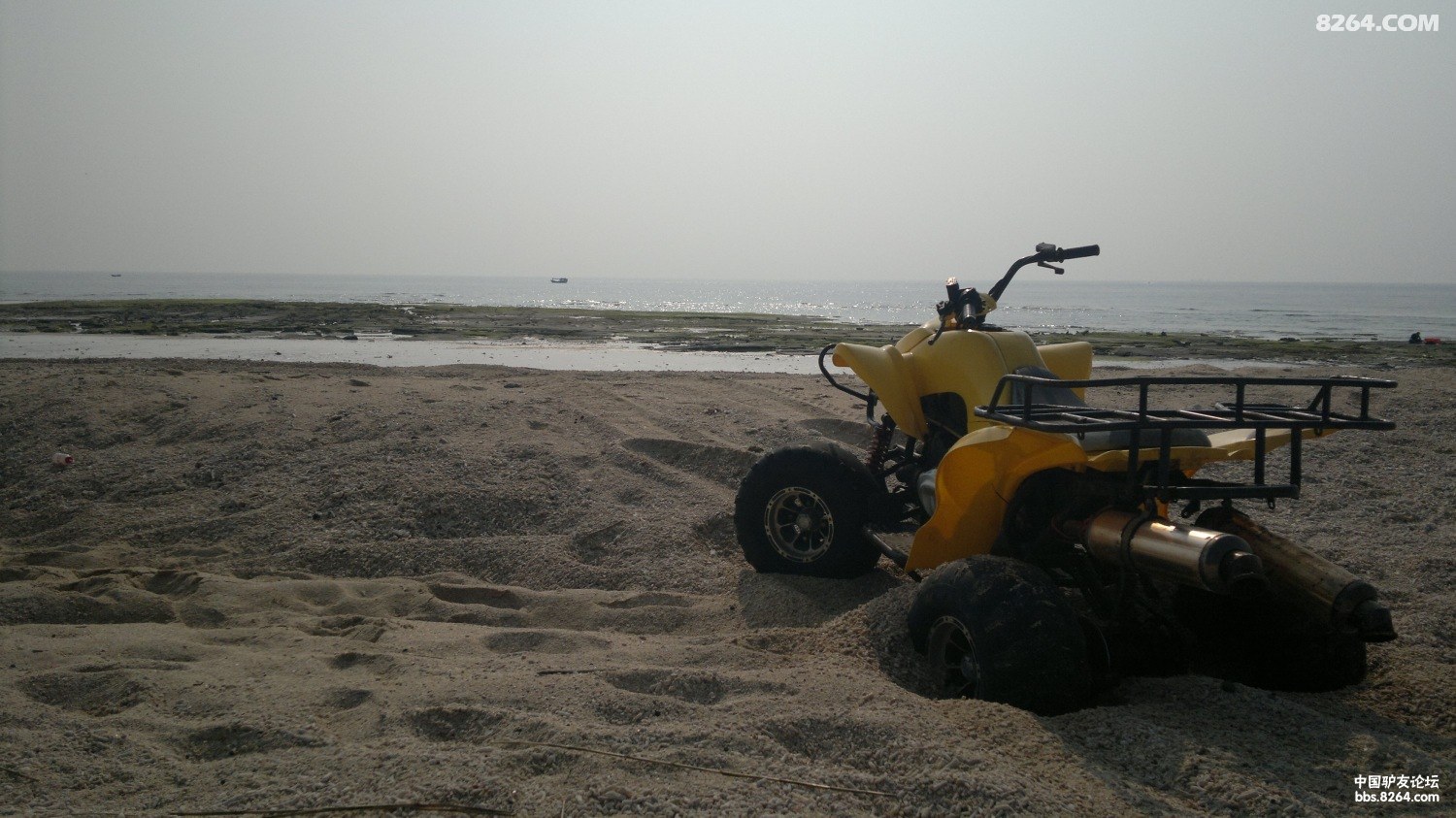 20130309825.jpg