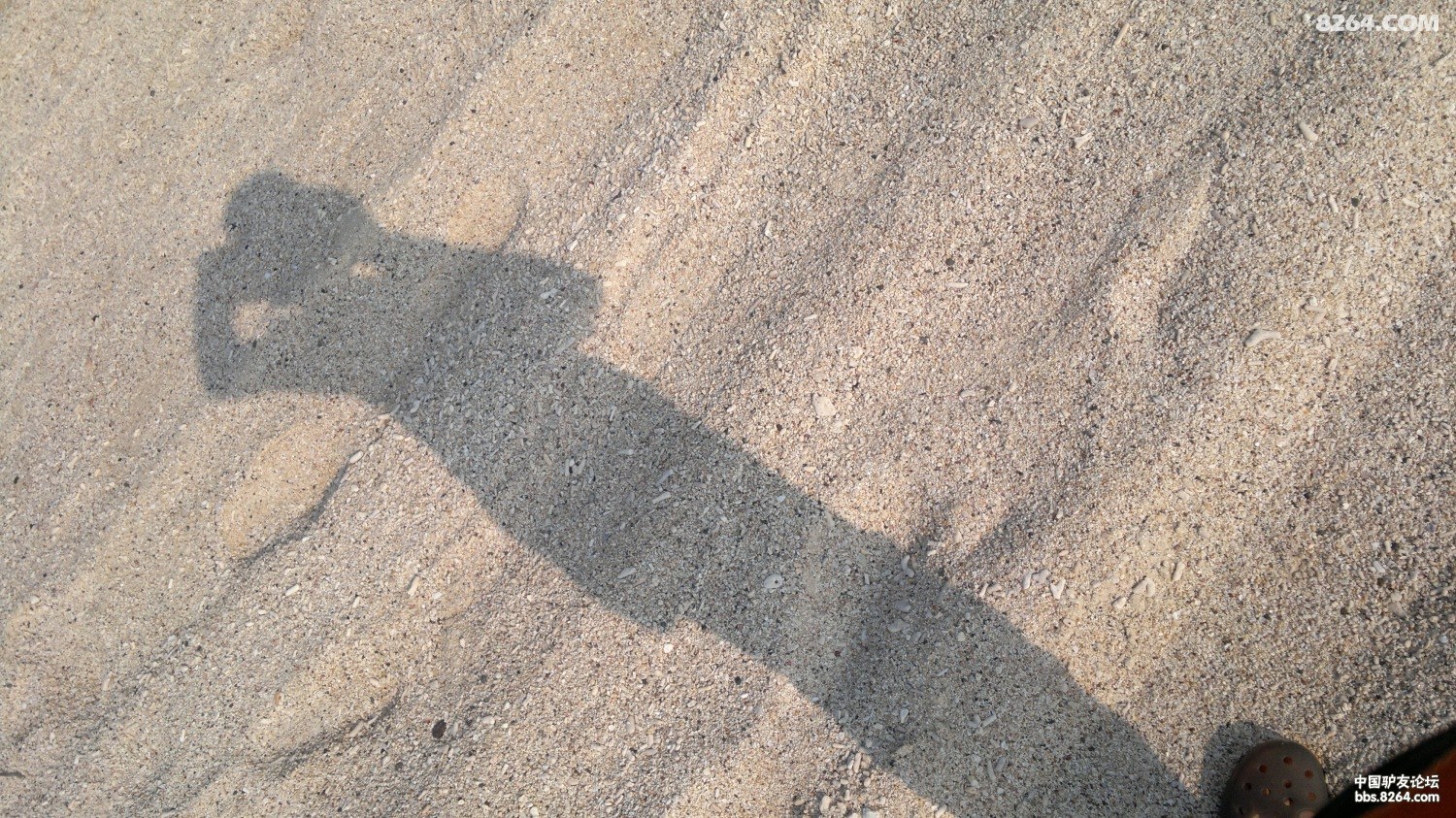 20130309826.jpg