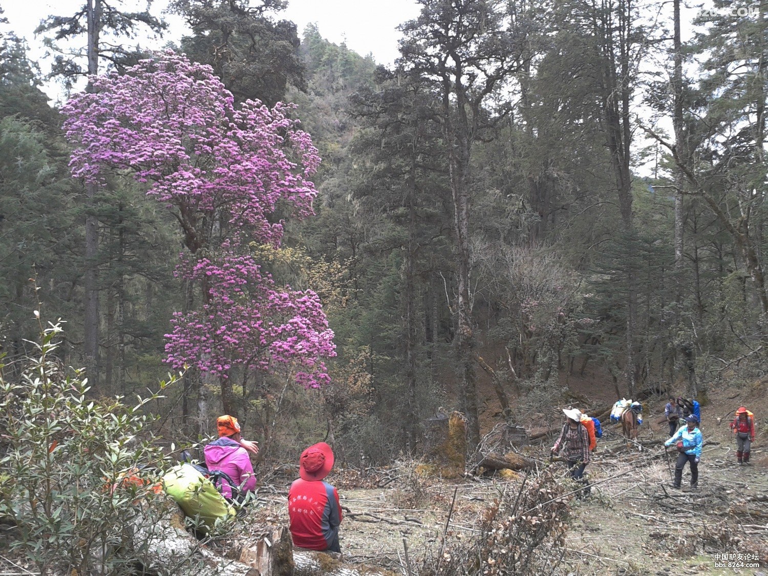 2012-04-28 13.27.29.jpg