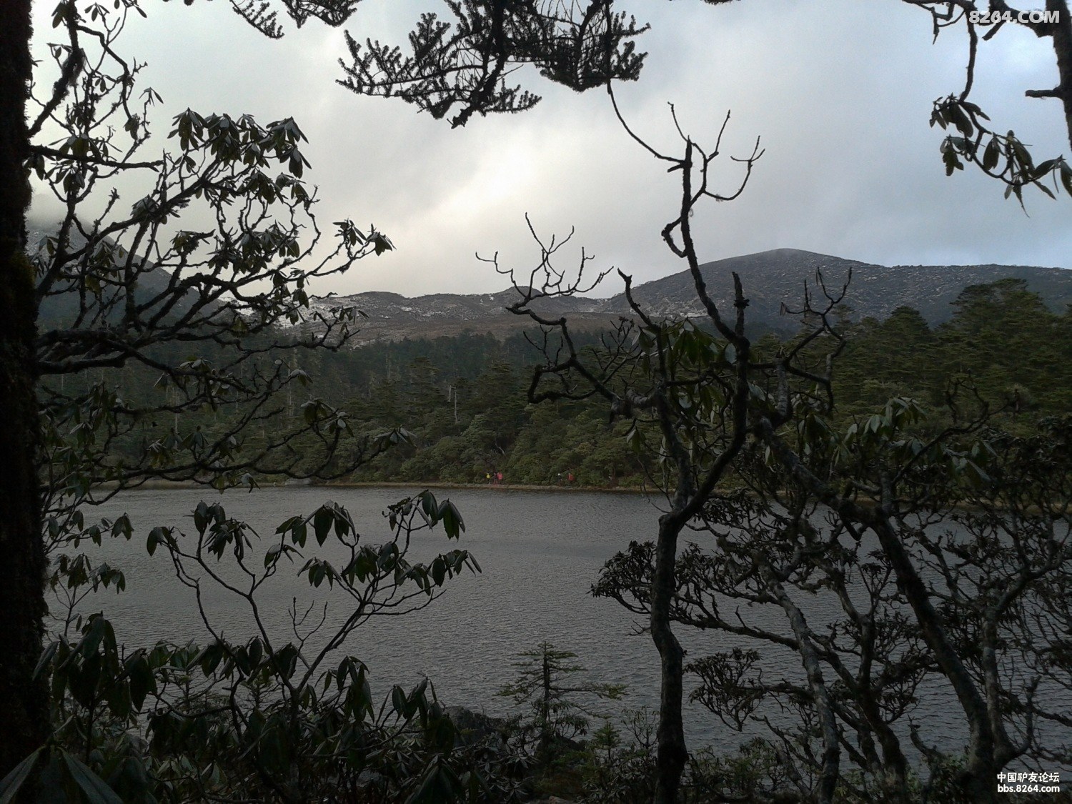 2012-04-29 19.07.36.jpg