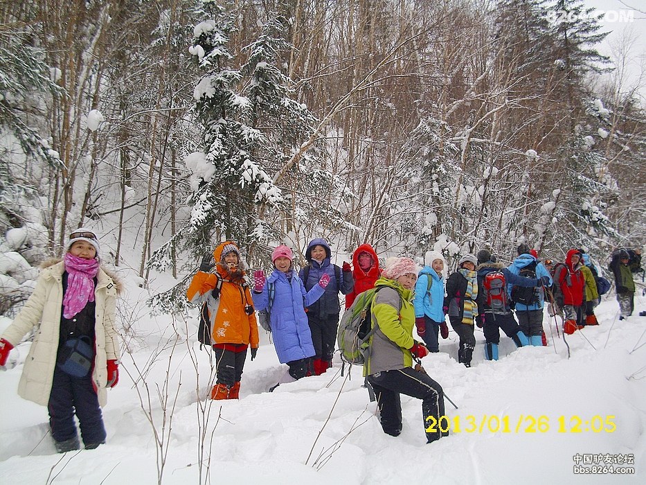 201312622185065397.jpg