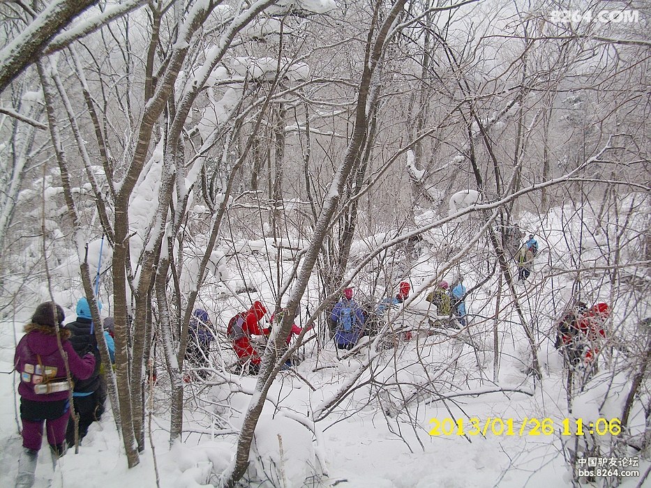 201312621541871039.jpg
