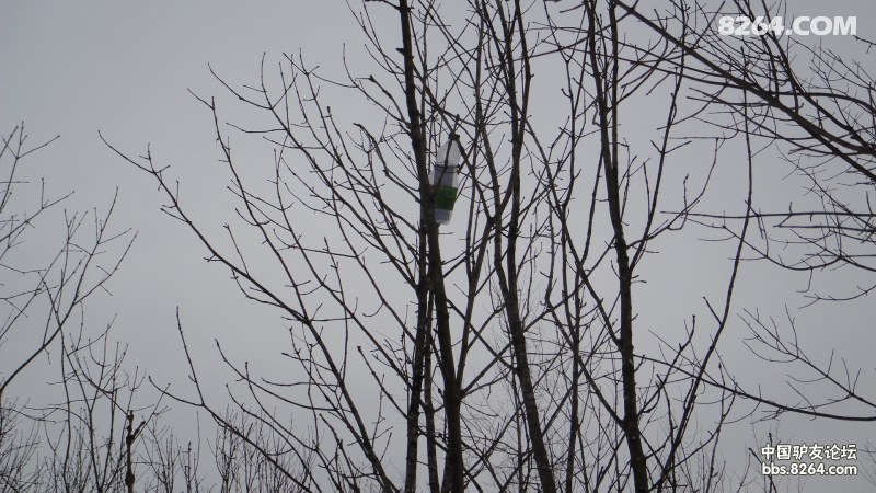 201312622394776526.jpg