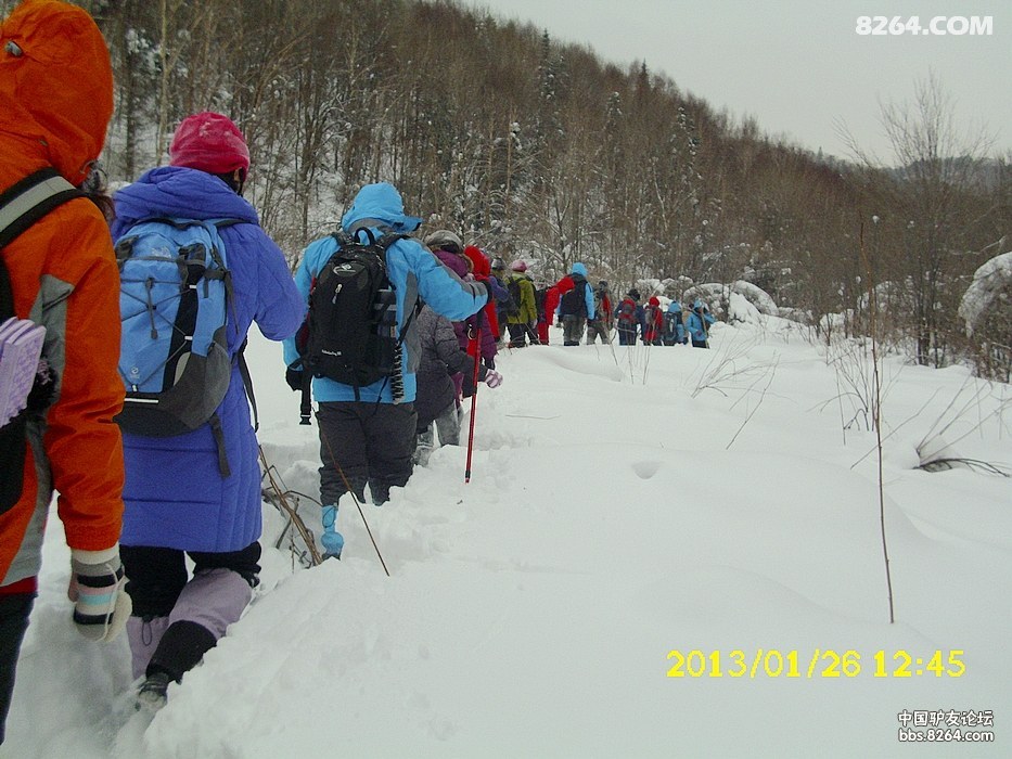 20131262222871917.jpg