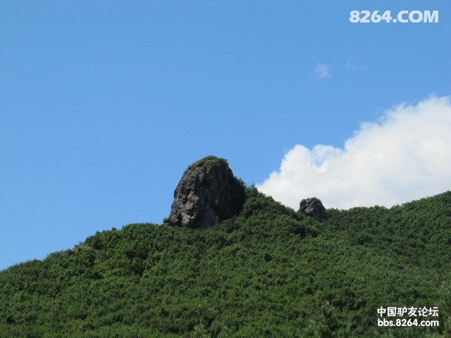 20118226384761241.jpg
