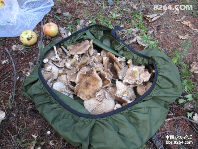 20118226453961832.jpg